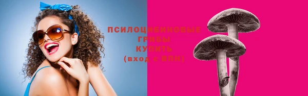 сатива Алзамай