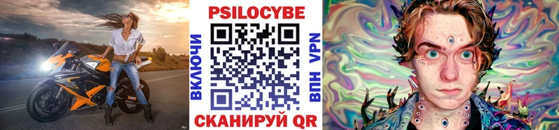Галлюциногенные грибы Cubensis  сколько стоит  Курганинск 